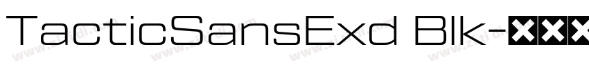 TacticSansExd Blk字体转换